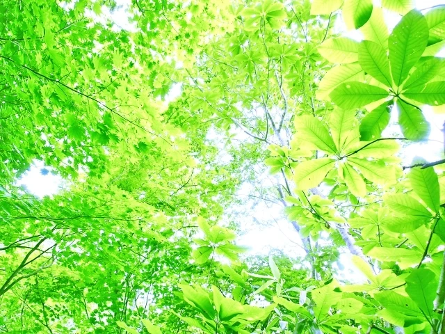 疲れとはさようなら！顎ゆるマッサージで爽快感を手に入れましょう