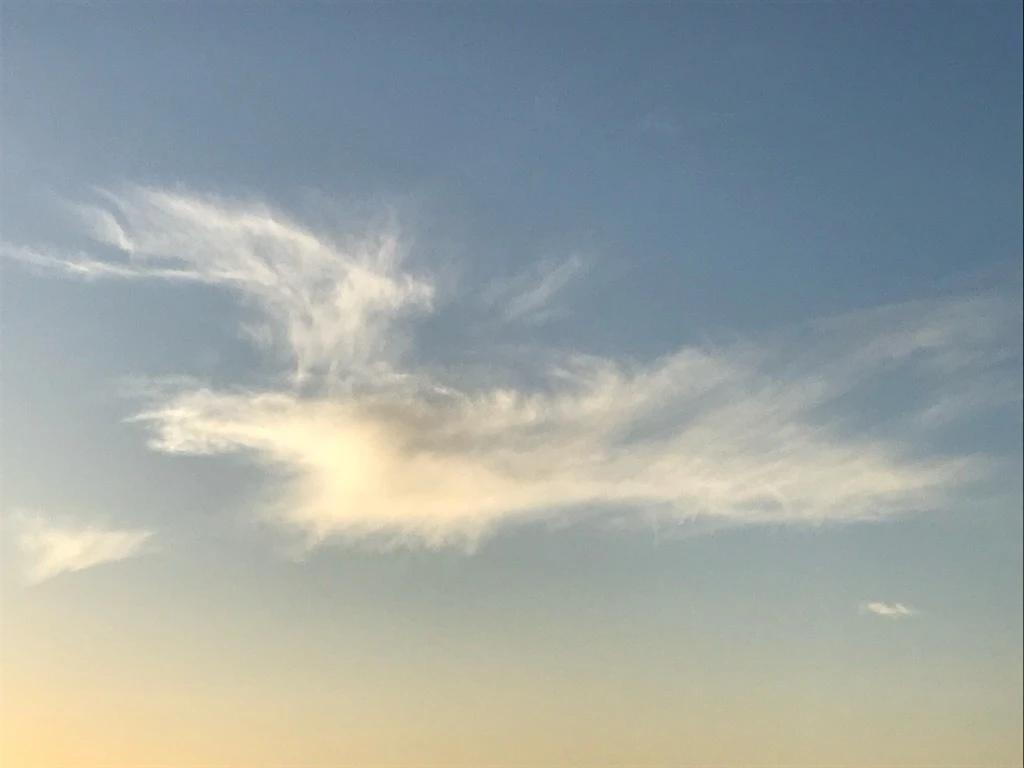 今すぐ自分の健康を見直してみませんか？